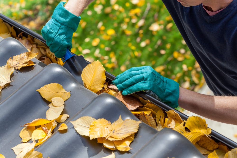 Man with green gloves cleans orange leaves out of the eavestroughs